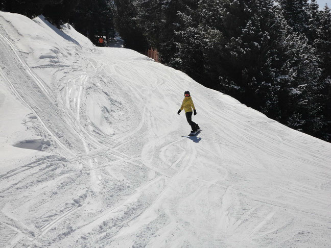 %_tempFileNameCanazei%202016%20BZ%20%